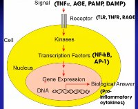 Receptor