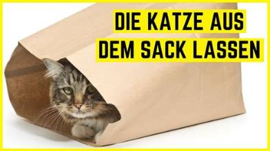KatzeAusSack KatzeAusSack